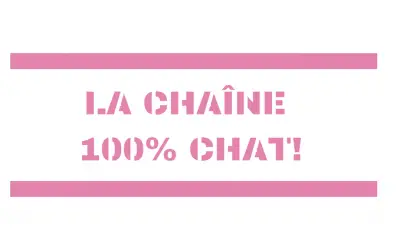 J’aime Trop Chat sur YouTube : la chaîne vidéo 100% CHAT !